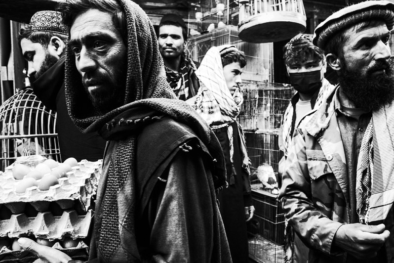 Bird market, Kabul, Afghanistan. 2024