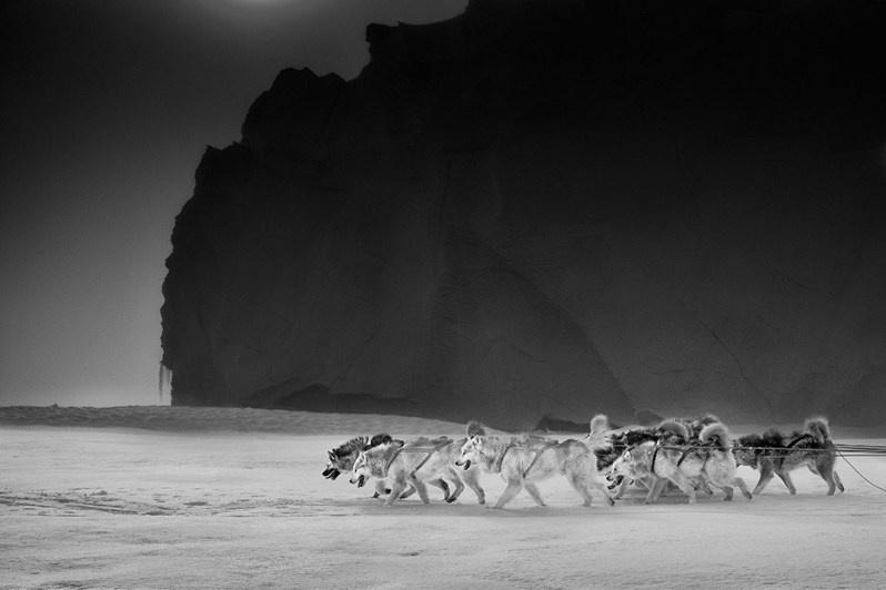 Ragnar Axelsson / Arctic Heroes. Noga Creative Union