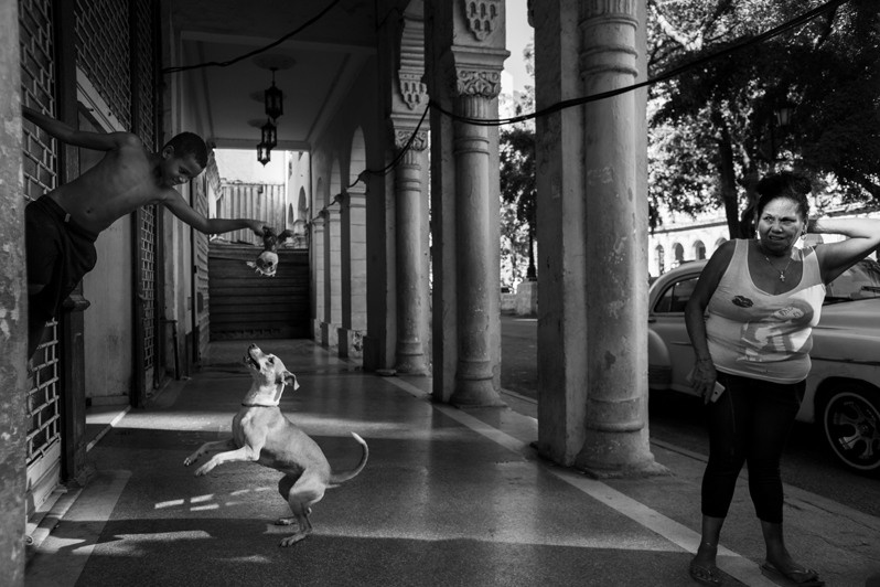 Playing with a dog on Prado street, Centro Habana district, Havana, Cuba. 2022