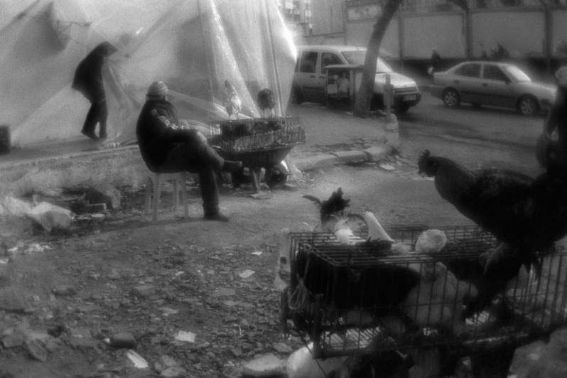 Poultry dealers near the marketplace of Tekirdag town, Turkey. January 2008
