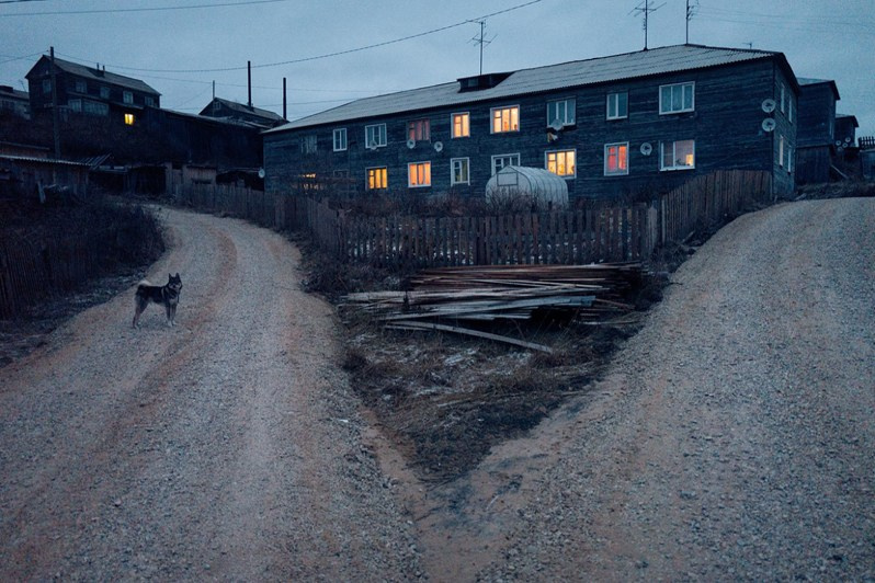 A dog stands on a village street, waiting its owner, Koslan village, Udorsky district, Komi Republic, Russia. 2018
