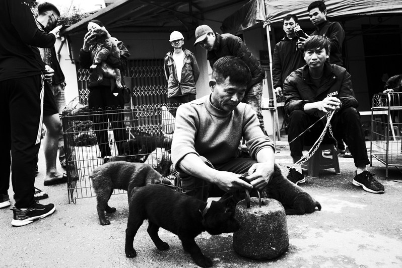 Nadezhda Khramova / Vietnam: A Necklace for Happy Souls. Noga Creative Union