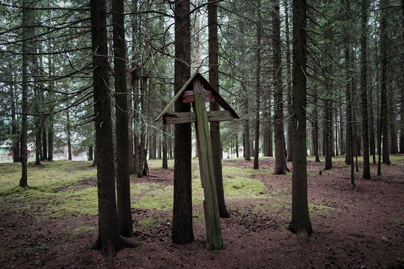 Koynas village, Leshukonsky district, Arkhangelsk region, Russia. August 2017
