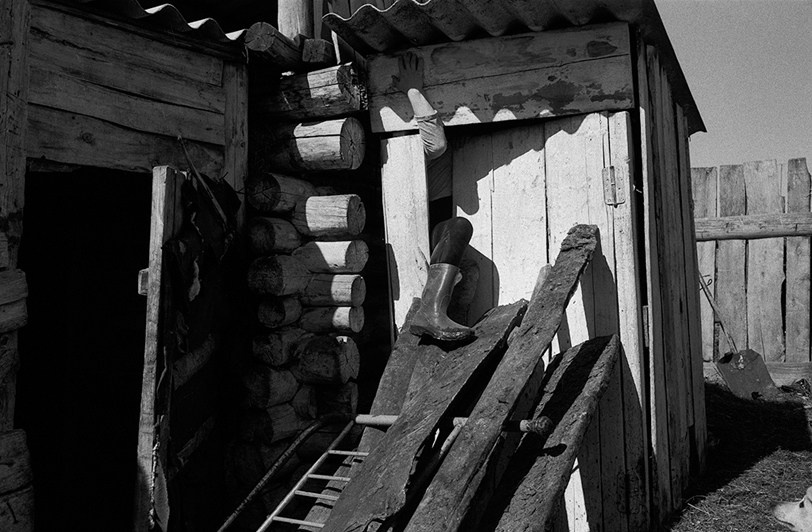 село Покровка, Чановский район, Новосибирская область, Россия. 2010