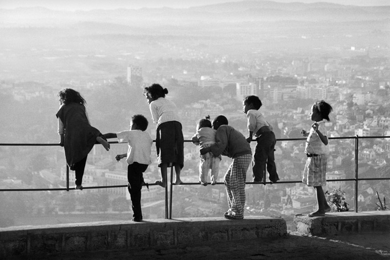Baby swallows, Antananarivo, Republic of Madagascar. 2000