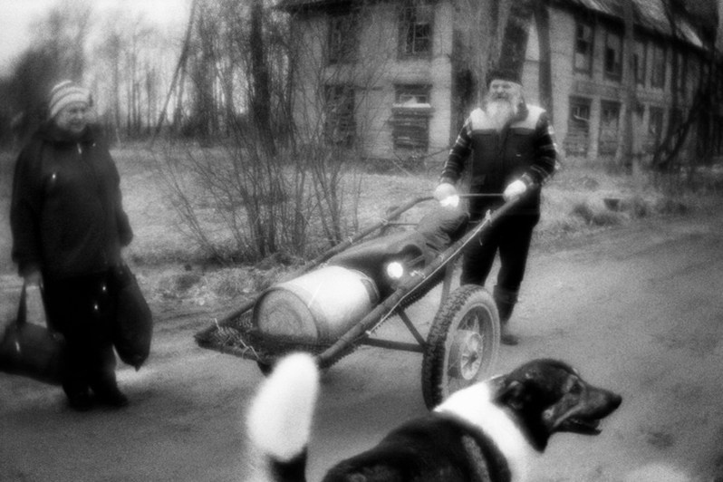 посёлок Пуксоозеро, Плесецкий район, Архангельская область, Россия. Август 2019