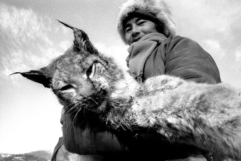 Близнецы, между Горхи-Тэрэлж и Булагом, Монголия. Январь 2002