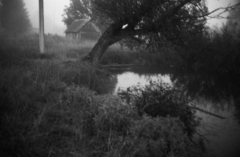 деревня Луг, Гдовский район, Псковская область, Россия. 2010