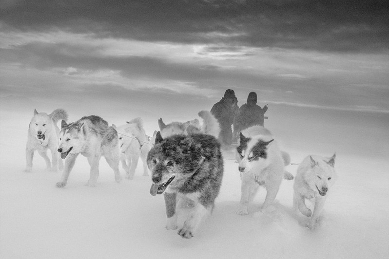 Arctic Hunters, Scoresbysund, Greenland, Kingdom of Denmark. 2019