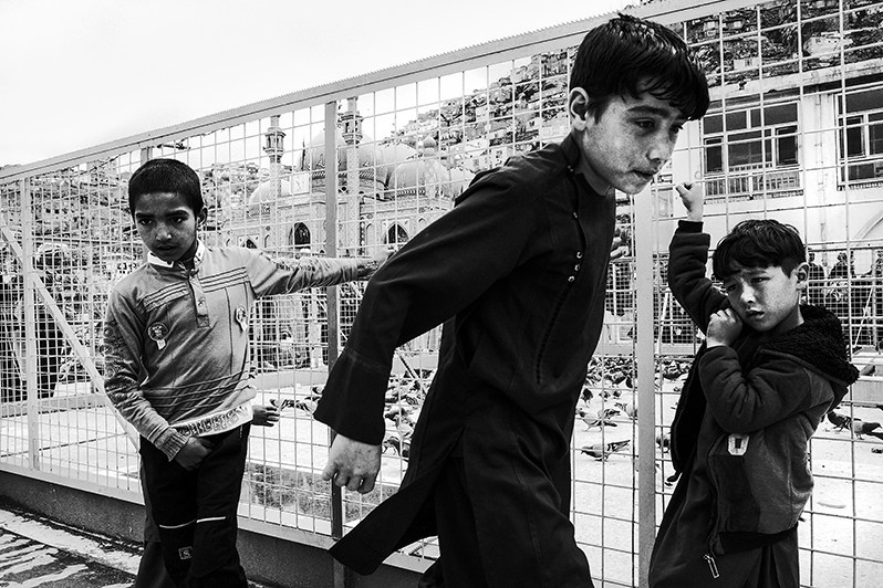 Boys chase pigeons in a dovecote at Ziarat-e Sakhi Mosque, Mazar-e Sakhi Road, Kabul, Afghanistan. 2024