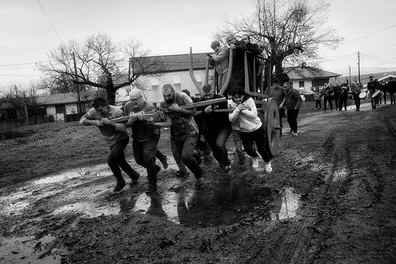 Ox cart pulled with all the strength by the boys, Bragança municipality, Bragança district, Trás-os-Montes region, Portugal. 2022