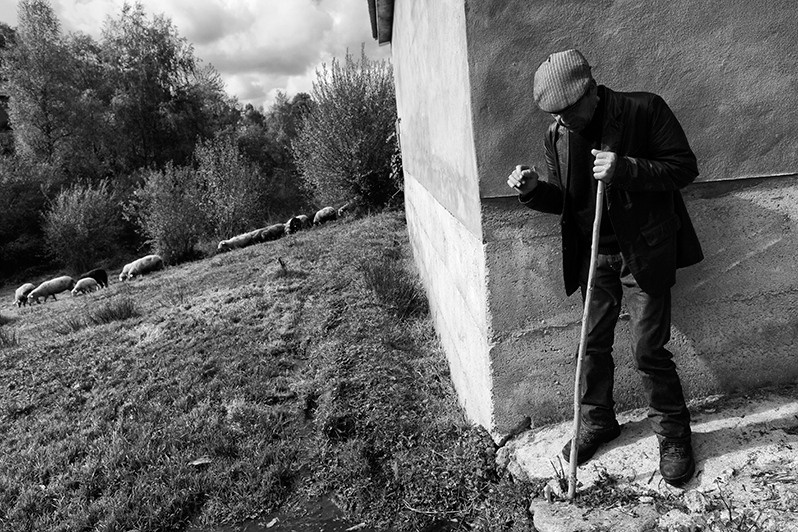 Man watching his flock of sheep grazing, Montalegre municipality, Vila Real district, Trás-os-Montes region, Portugal. 2016