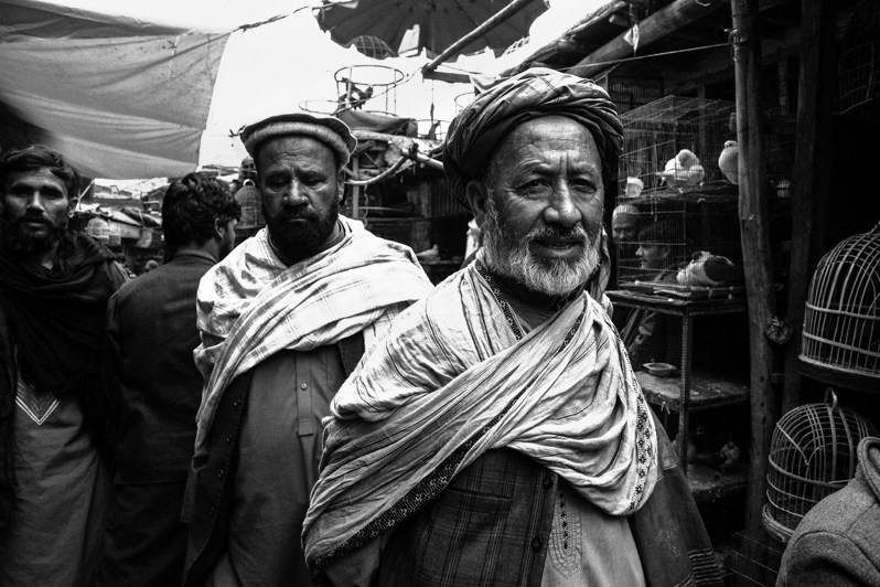 Afghans tired of years of war find an outlet in birds, Kabul, Afghanistan. 2024