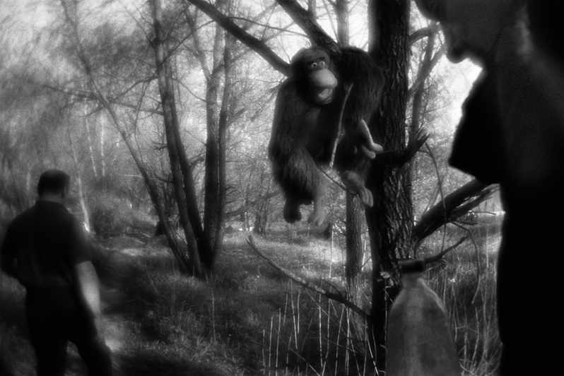 Костя проходит мимо игрушечной обезьяны, украшающей дорогу между палаткой Бориса и Володи "Ботаника", район Тропарёво-Никулино, Москва, Россия. 6 мая 2015