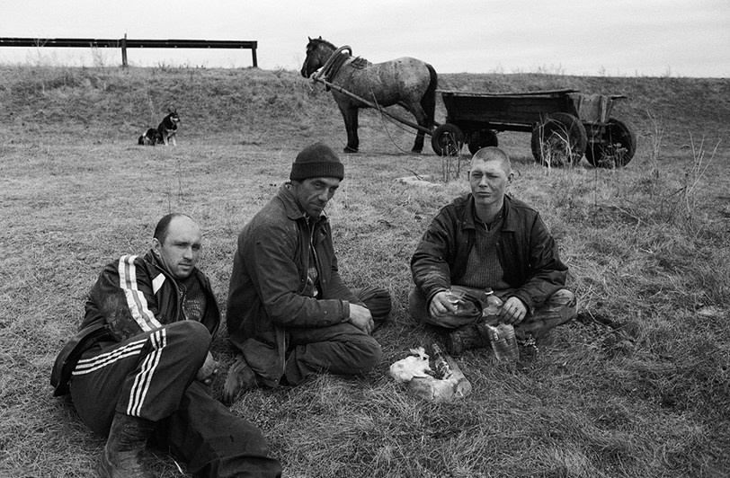 село Покровка, Чановский район, Новосибирская область, Россия. 2010