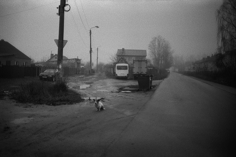 Тузик ждёт Леру, Брянская область, Россия. 2022