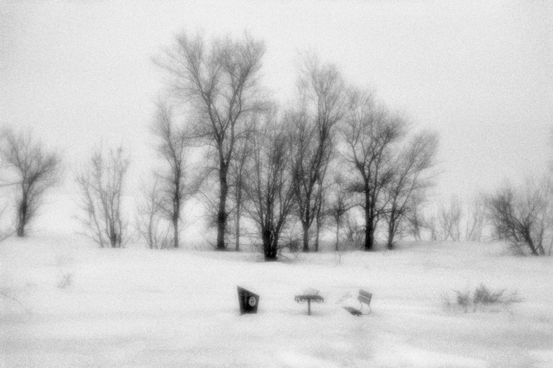 близ Пугачёва, Саратовская область, Россия. Март 2019