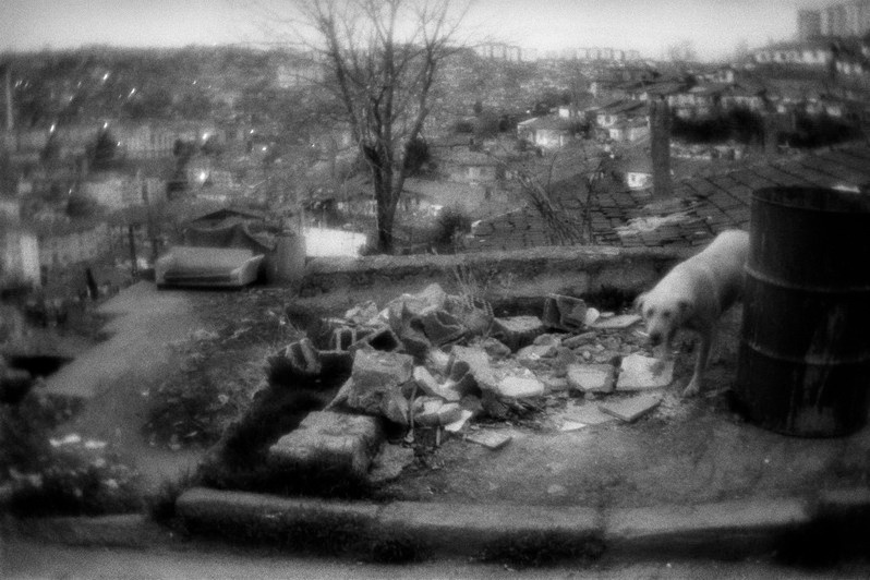 Outskirts of Ankara, Ankara, Turkey. April 2014