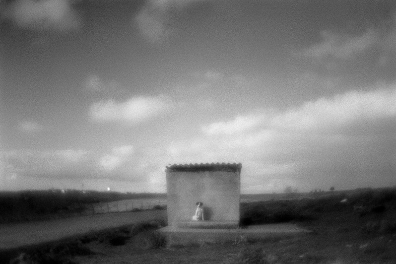 Asylum for dogs, Sinop district, West Black Sea region, Turkey. January 2009