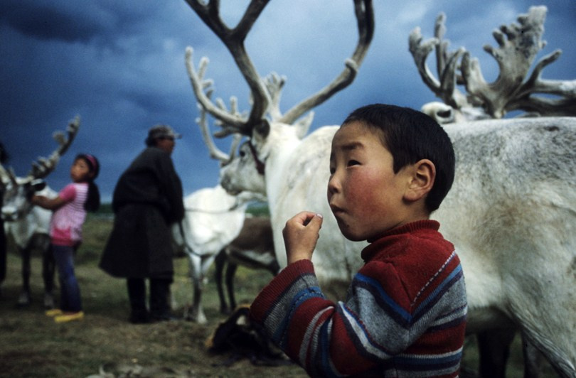 Portrait of Tsaatan boy called Süree, Tsaatan camp, Khövsgöl province, Mongolia. September 2013