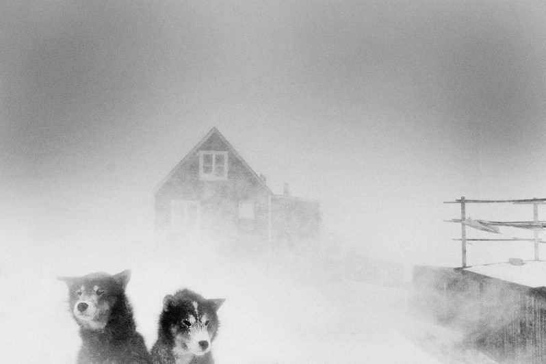 Ragnar Axelsson / Arctic Heroes. Noga Creative Union