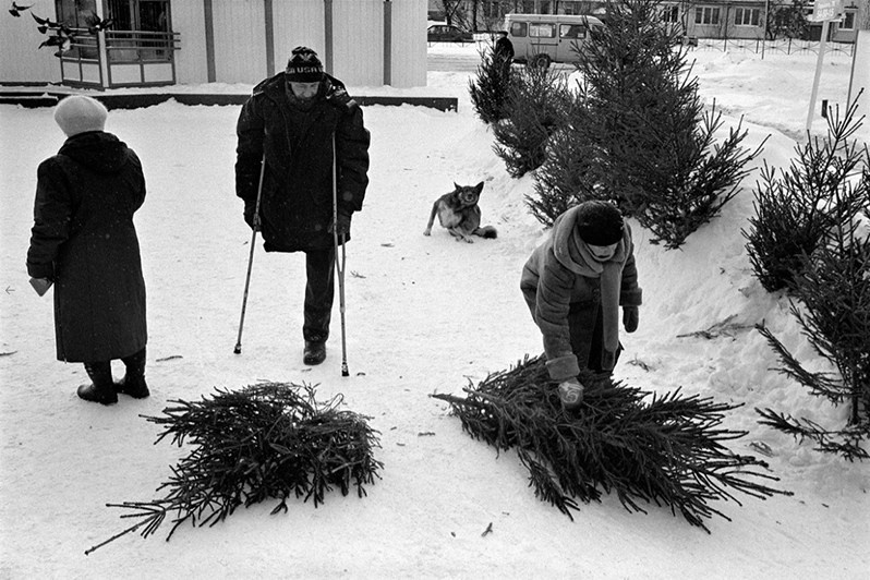Sale of Christmas trees, Vologda, Russia. 2010