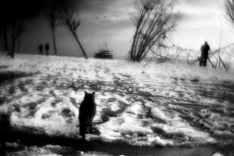 Cat and steamboat, Istanbul, Turkey. January 2013