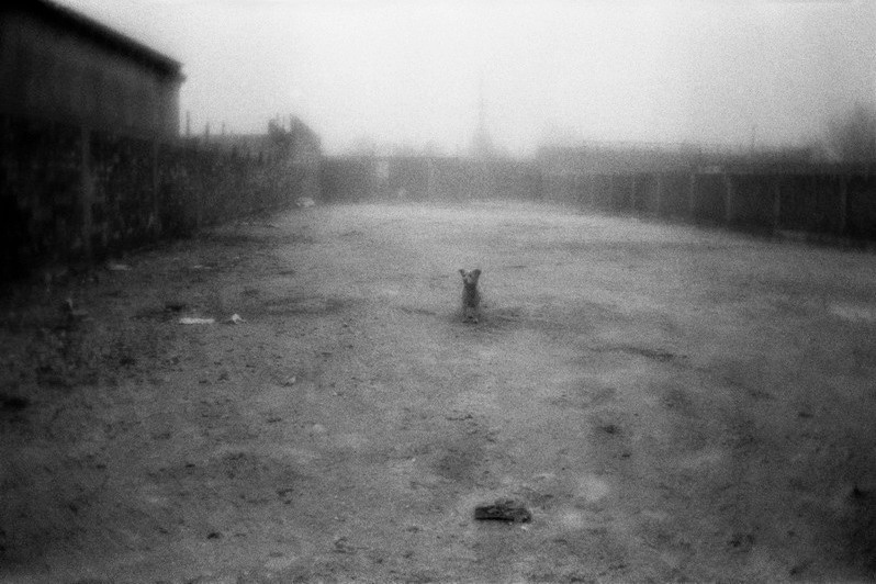 Outskirts, Edirne, Marmara region, Turkey. November 2009