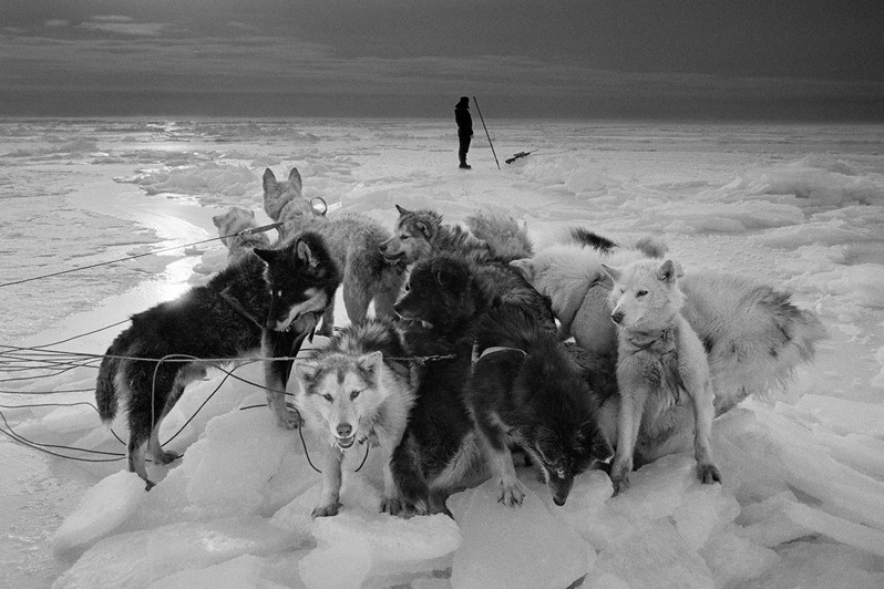 Hunter on the Sea Ice, near Scorebysund, Sermersooq municipality, Greenland, Kingdom of Denmark. 1995