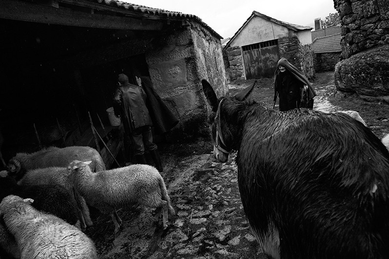 Mother and son keep their animals in the corrals, Montalegre municipality, Vila Real district, Trás-os-Montes region, Portugal. 2017