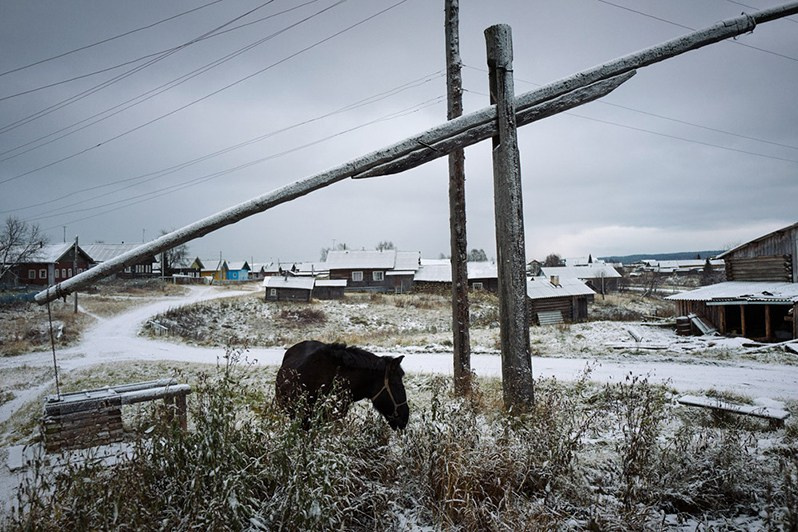 A horse grazing by an old well, this type of well is called 'zhuravl' (crane in Russian), Beloshchelye village, Arkhangelsk region, Russia. October 2017