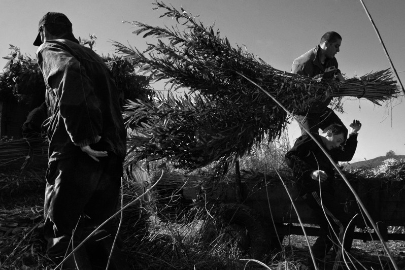 село Иза, Хустский район, Закарпатская область, Украина. 2004