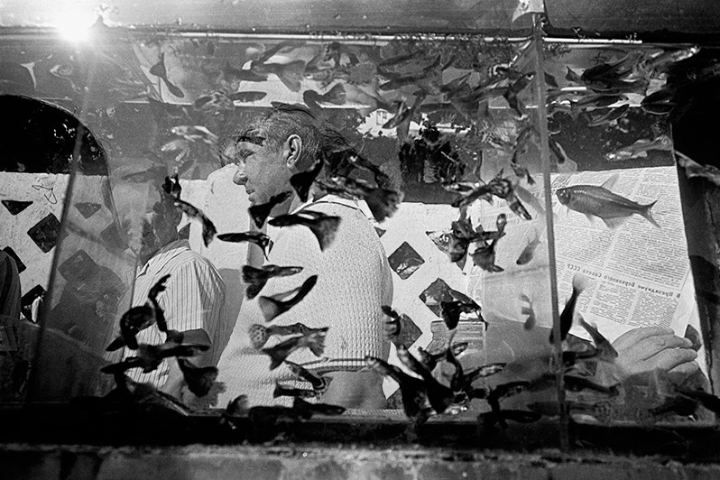 Аквариум. Рынок, Запорожье, УССР. 1981