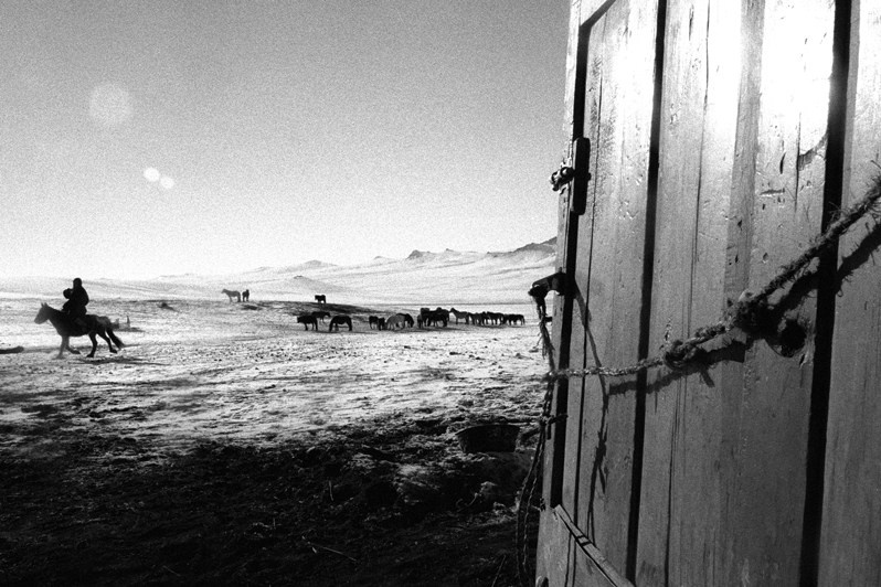 Возвращение войска, Жаргалантский район, провинция Туве, Монголия. Январь 2002