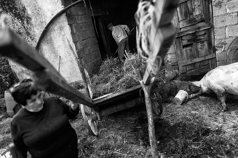 Couple takes care of their animals, Montalegre municipality, Vila Real district, Trás-os-Montes region, Portugal. 2015
