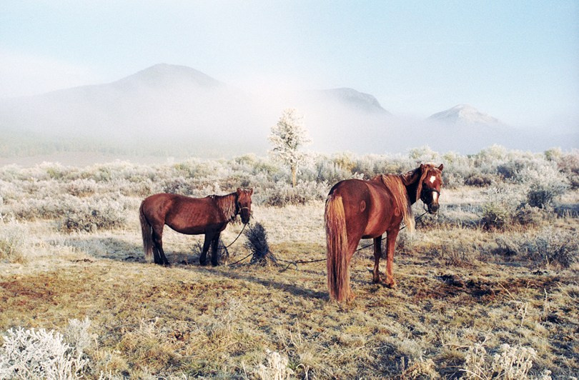 Icy morning in the Ulaan Taiga Mountains, Khövsgöl province, Mongolia. September 2014