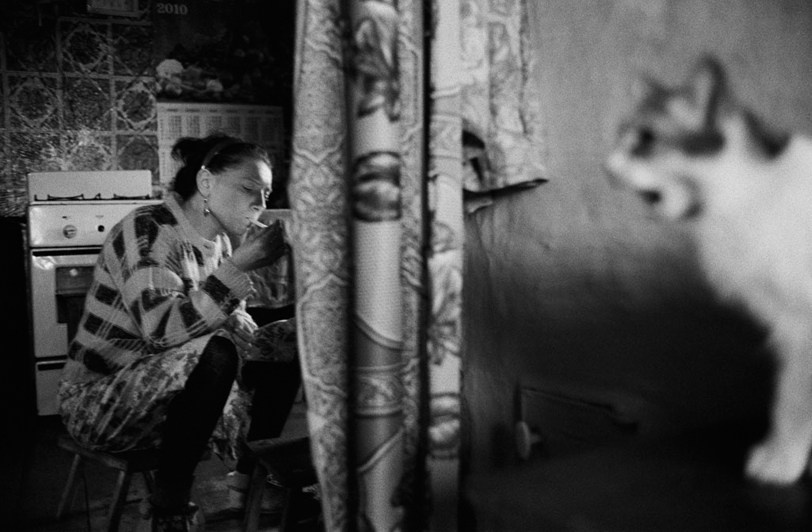 село Покровка, Чановский район, Новосибирская область, Россия. 2010