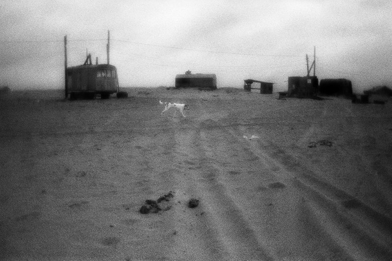 близ посёлка Кузомень, Кольский полуостров, Мурманская область, Россия. Сентябрь 2016