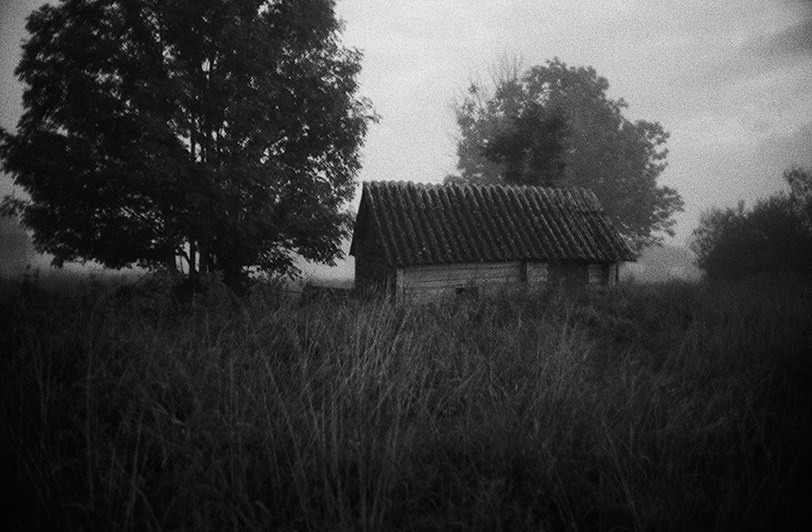 деревня Луг, Гдовский район, Псковская область, Россия. 2010