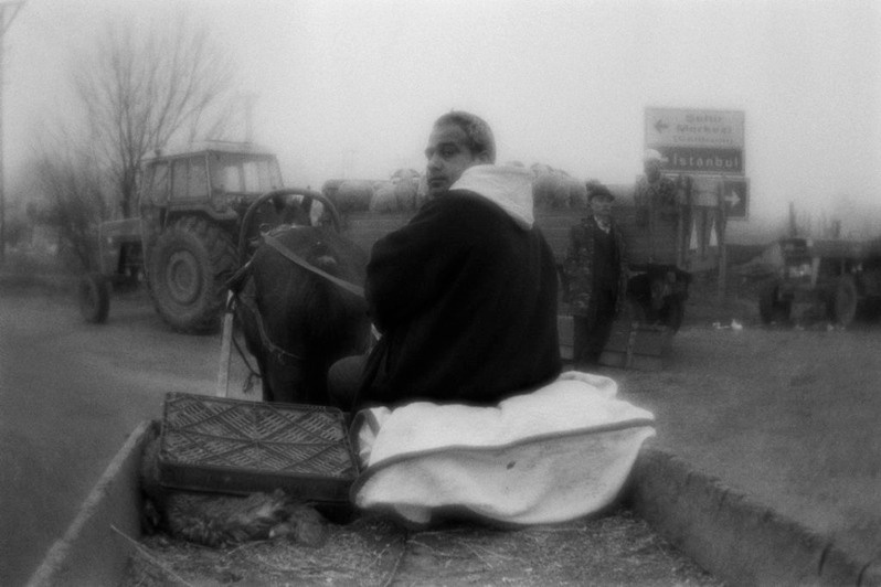 The waggoner delivering the loads on the temporary market cattle, arranged for the period of the holiday of Kurban Bayram, Edirne, Turkey. November 2009