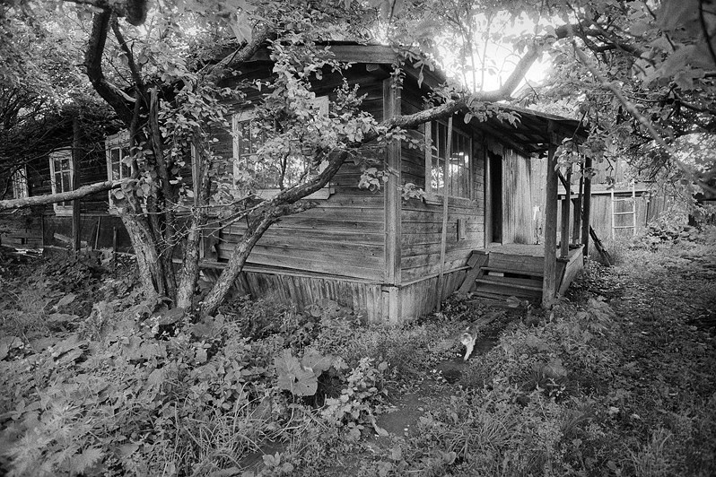 Кошкин дом, деревня Беляево, Кикнурский район, Кировская область, Россия. Июнь 2010