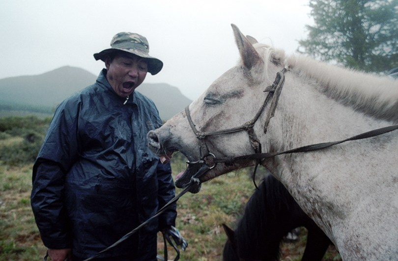 Time to sleep. Both Baggy and his horse tired after all day in the taiga, Ulaan Taiga Mountains, Khövsgöl province, Mongolia. September 2015