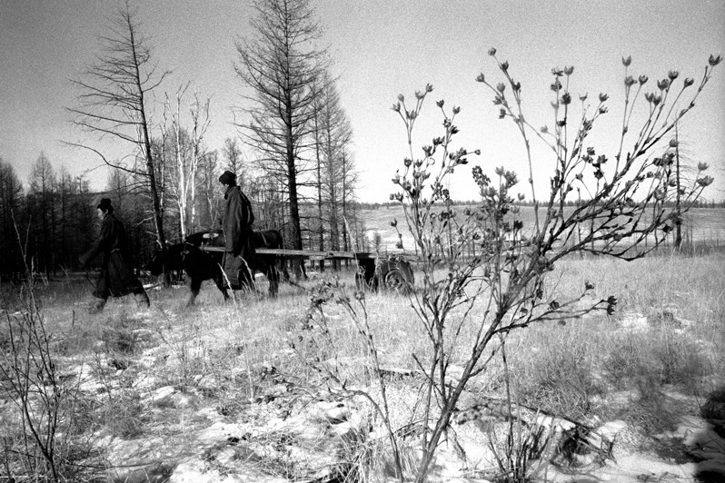 На белых дорожках, в окрестностях Булага, Тунэлский район, провинция Хувсгел, Монголия. Январь 2002