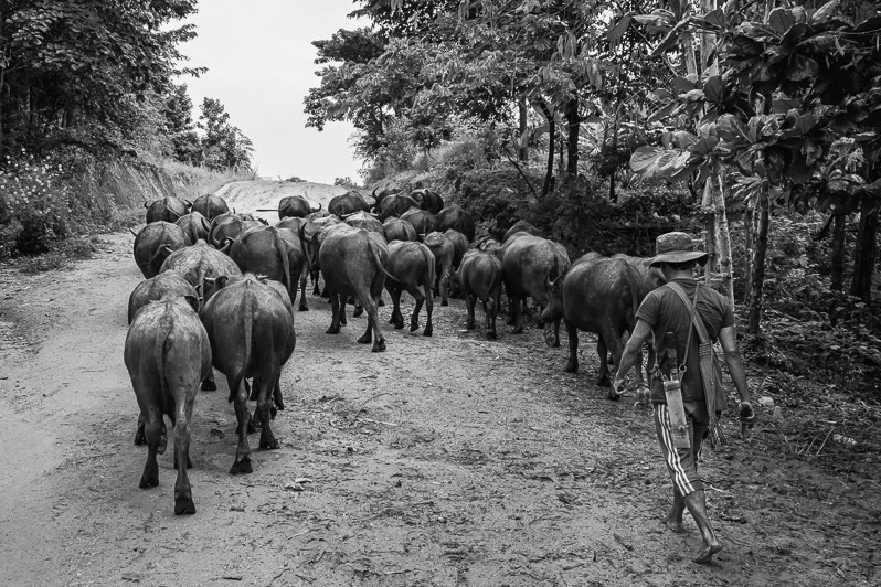 Karen villager, Kayin State, Myanmar. October 2023