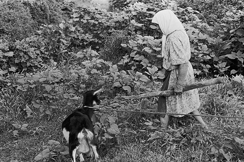 Бабушка пасёт свою козу, Запорожье, УССР. 1980