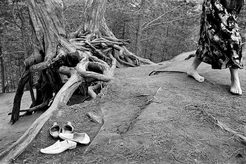 Корни, близ села Великорецкое, Юрьянский район, Кировская область, Россия. Июнь 2006