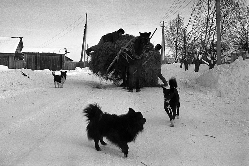 Случай на дороге, Татарстан, Россия. 1996