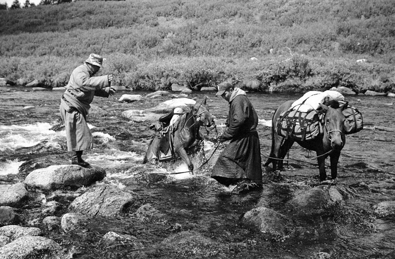 Ulaan Taiga mountains, Khövsgöl province, Mongolia. 2009