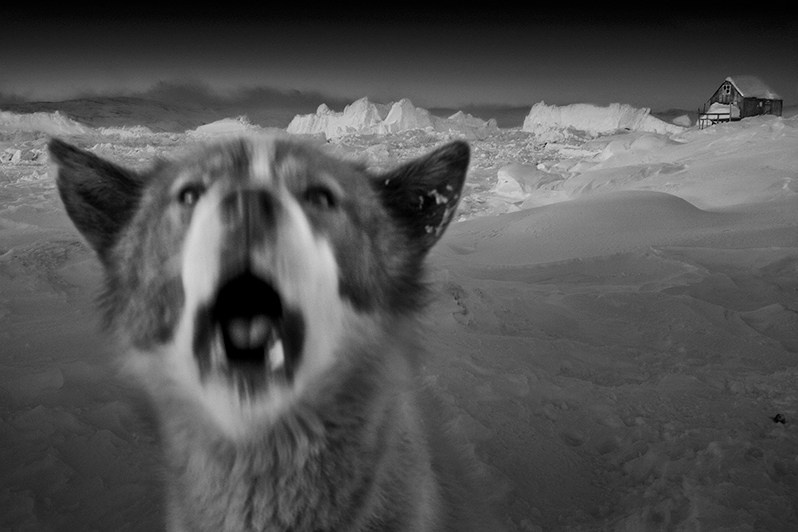 Ragnar Axelsson / Arctic Heroes. Noga Creative Union