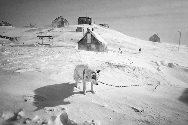 Ragnar Axelsson / Arctic Heroes. Noga Creative Union